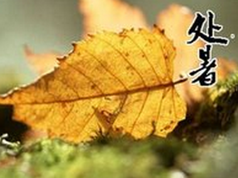 处暑的意思1