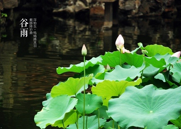 2016年谷雨是哪一天1