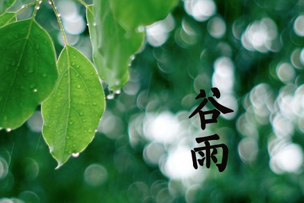 2016年谷雨节气是几月几日1