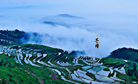 2016芒种是哪天1