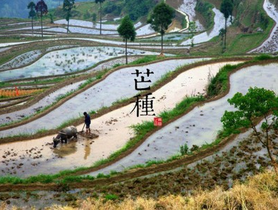 2016年芒种是几月几日1