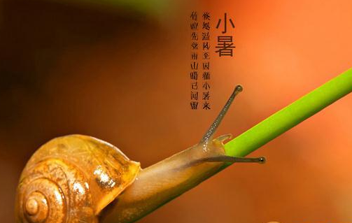 2016年小暑是什么时候