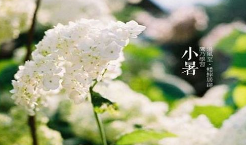 2016年小暑在几点