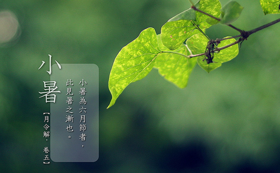 2016小暑在几点