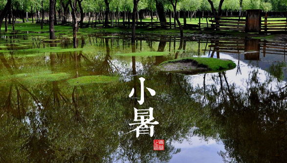 2016小暑是什么时候