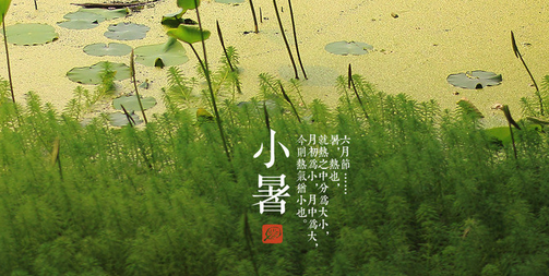 2016小暑是哪一天