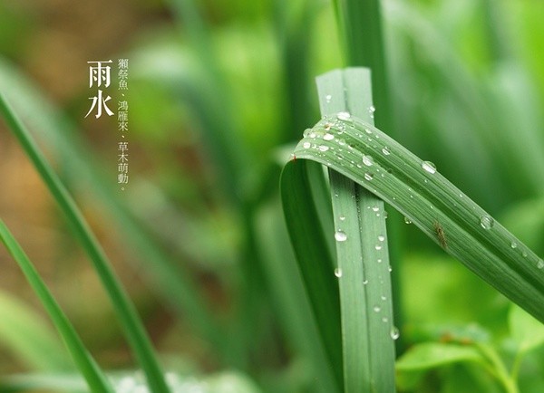 雨水节气忌什么1