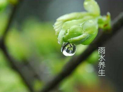 雨水节气小孩吃什么1