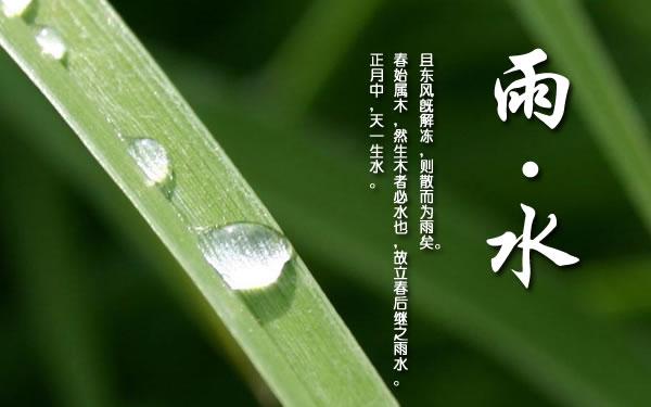 雨水节气穿什么1