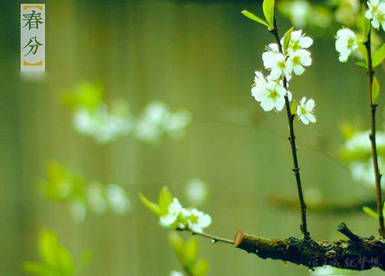 春分节气是什么意思1