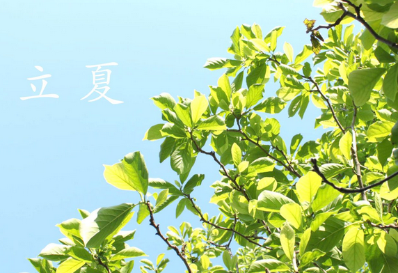 北方立夏吃什么