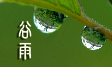 谷雨节气是什么意思1