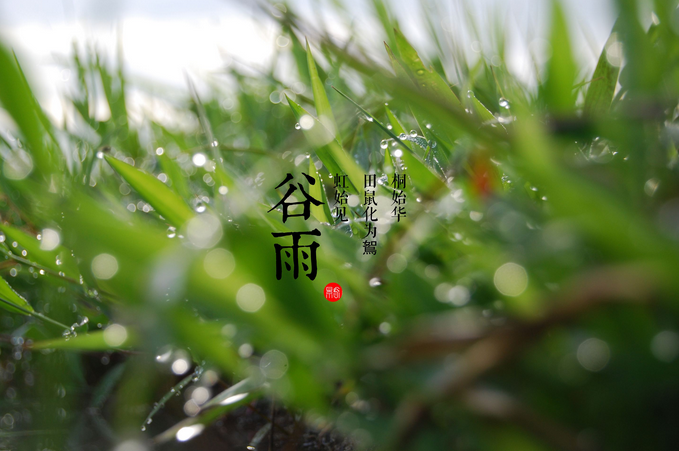 谷雨的习俗有哪些1