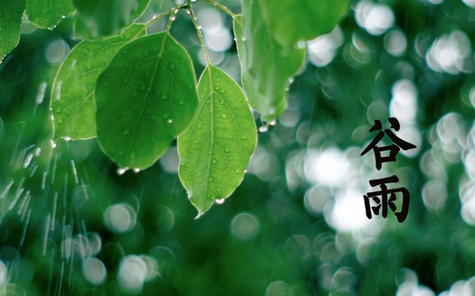 谷雨会下雨吗