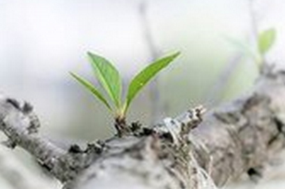 关于谷雨的诗歌有哪些1