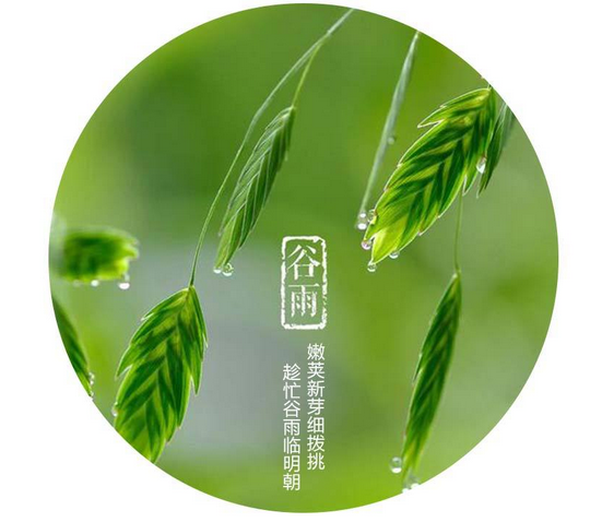 谷雨节气的含义1