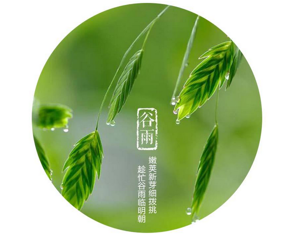 谷雨的天气怎样1