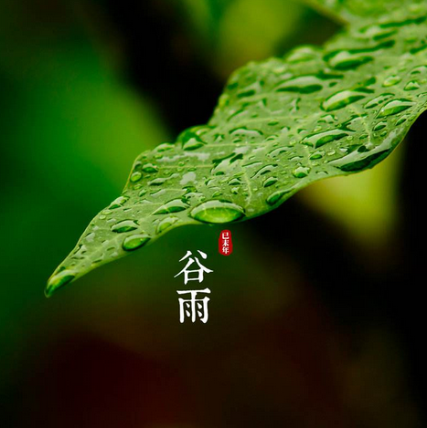 谷雨节气的诗词有哪些1