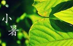 小暑有什么气候特点