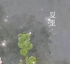 夏至的气候特点是什么1