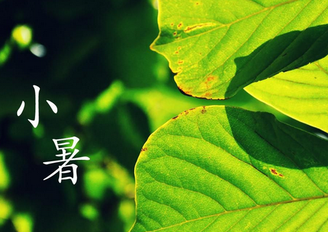 小暑过后的节气是什么1