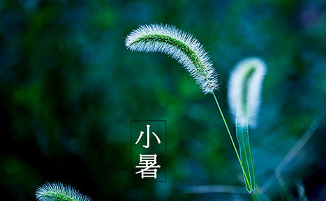 2017小暑节气是几月几日