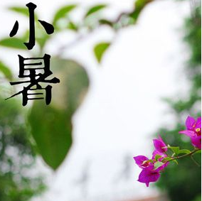 2017小暑节气是哪一天
