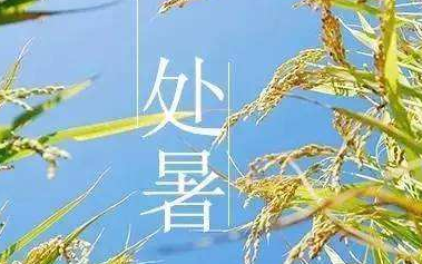 2017处暑是几月几日1