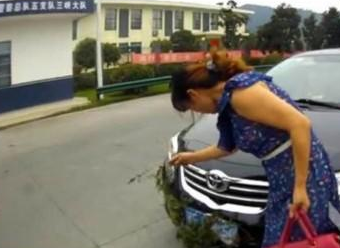 女司机草根遮号牌