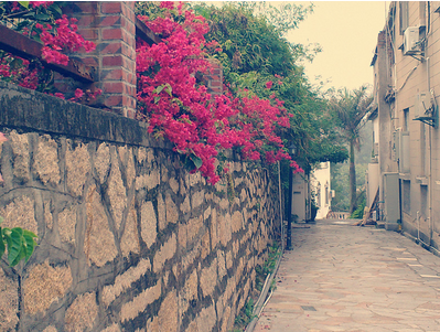 2015清明节旅游好去处