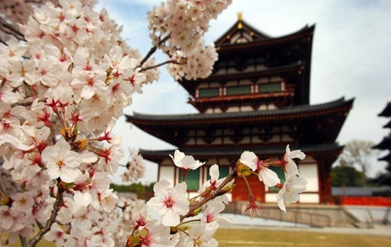 2016年北京清明节旅游好去处