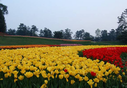 成都清明节旅游好去处
