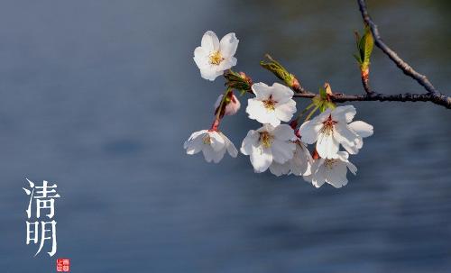 清明节的风俗是什么1