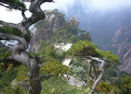 2017清明节旅游踏青好去处