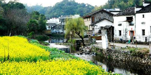 清明节旅游赏花好去处1