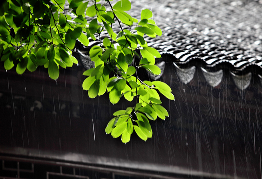 2015年梅雨季节是几月份1