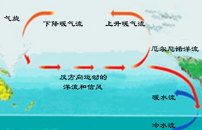 2015厄尔尼诺现象对中国的影响1