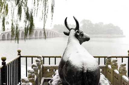 暴雪致北京部分学校停课1