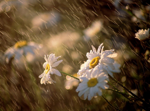 梅雨季节怎么除湿1