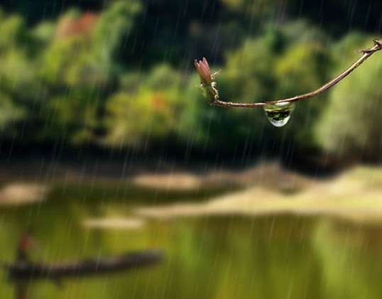 梅雨季节如何防霉1