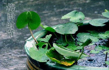 梅雨季节怎样防潮1