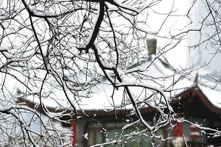 2016倒春寒是几号1