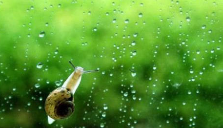 2016年浙江梅雨季节持续多久1