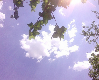 2016年三伏天时间表1