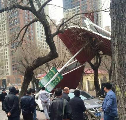 哈尔滨遭遇大风1