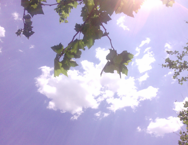 2016年三伏天什么时候开始1