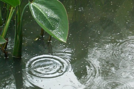 2016上海梅雨季节持续多久1
