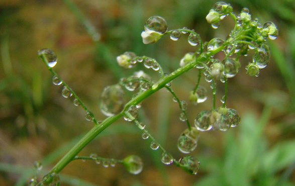 2016杭州梅雨季节持续多久1