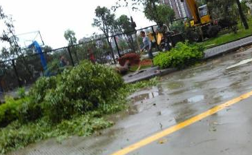 暴雨红色预警会停课吗1
