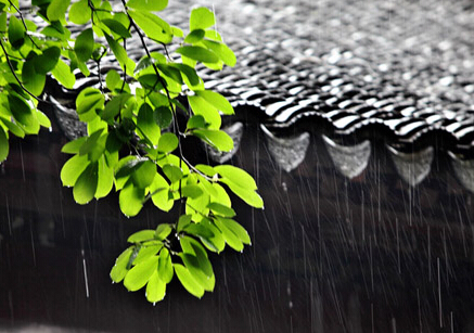 2016浙江梅雨季节是几月份1